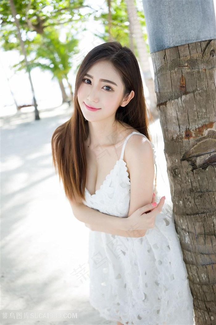 高一鹤