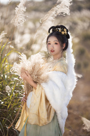操到妹子爽叫的APP网站